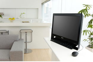 索尼 VAIO J115EC/Bi 啞光黑一體電腦 簡(jiǎn)約設(shè)計(jì)下的高效計(jì)算體驗(yàn)